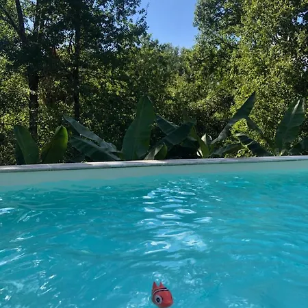 Bed & Breakfast Les Plantous De Severo Cénac-et-Saint-Julien