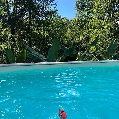 Les Plantous De Severo 4* Cénac-et-Saint-Julien