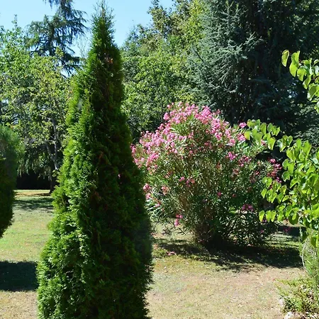 Les Plantous De Severo
