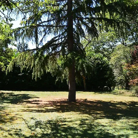 Les Plantous De Severo Couette-café 3*
